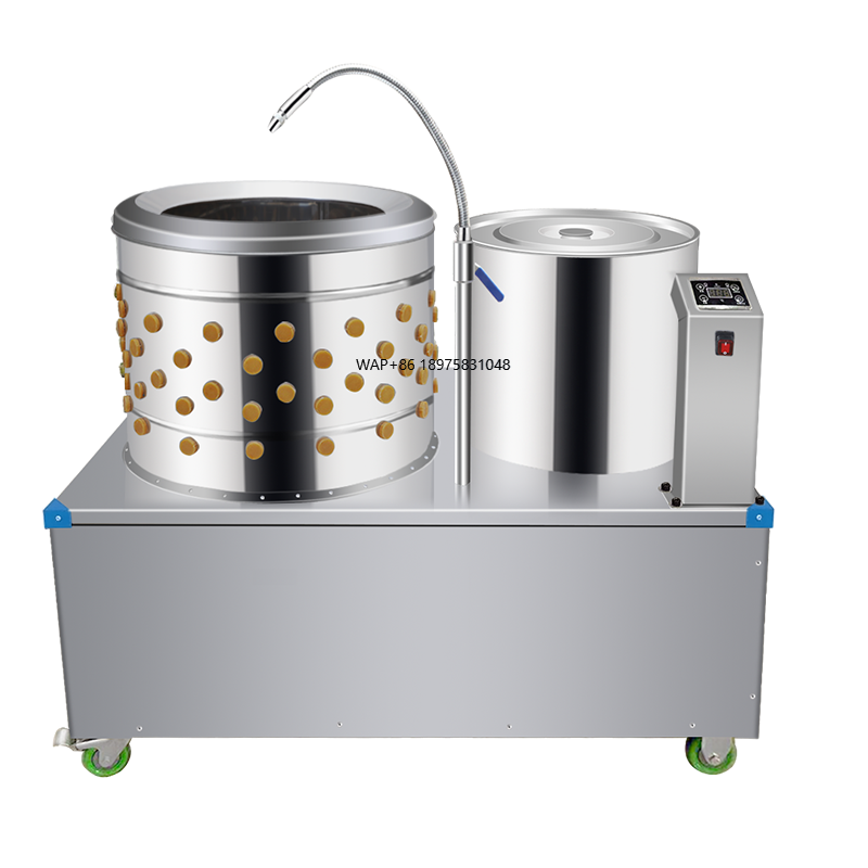 Chicken Plucker Machine - Équipement d'abattage : Machine à plumer