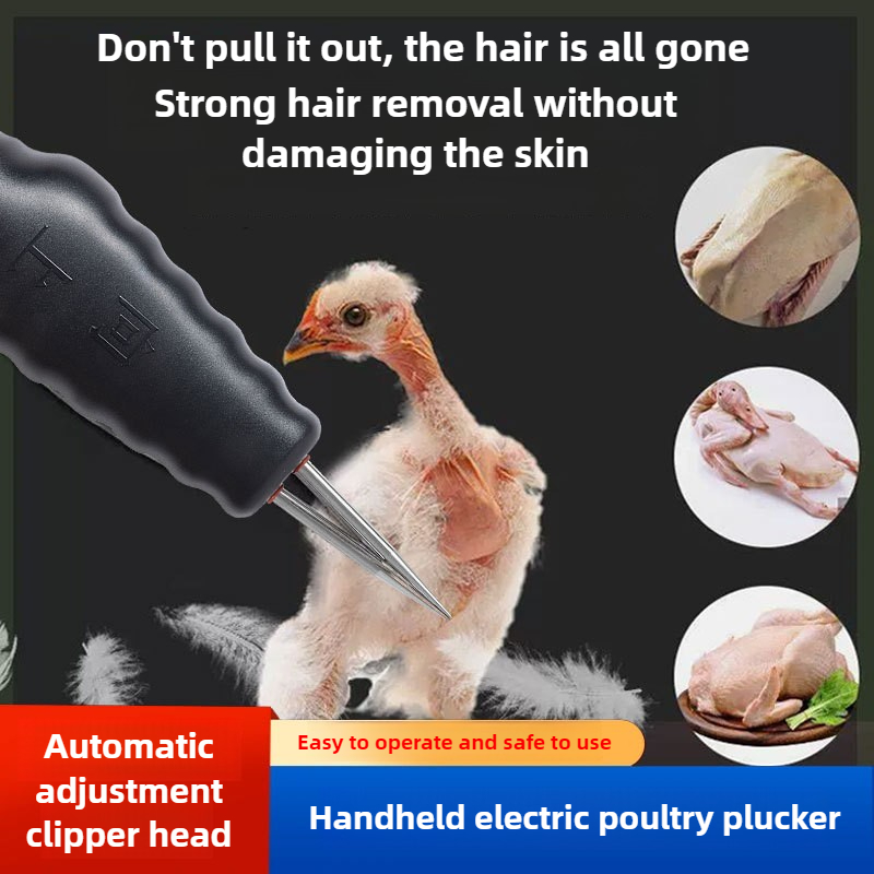 Plumeuse Électrique Portable E - Chicken Plucker Machine avis et prix